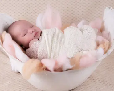 What is a Newborn Session