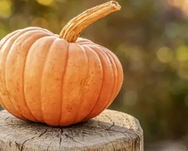 Many Things You Need to Know About Seasonal Affective Disorder