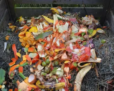 Why Do You Need 2 Compost Bins