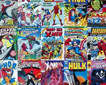 What is the Book Hero About
