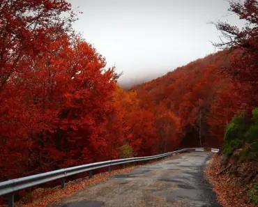Is it Safe to Travel Out the Country Alone