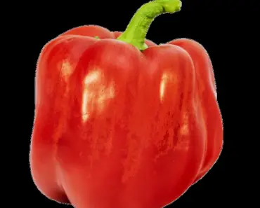 How Do You Cut Without Losing Muscle Eating