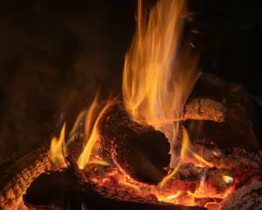 Which is Better Wood Burning or Propane
