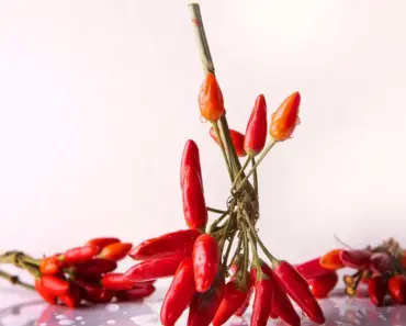 Is There a Difference in Chili Powders Is There a Difference in Chili Powders
