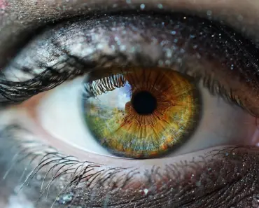 Who is the Best Eye Lens Manufacturer in the World