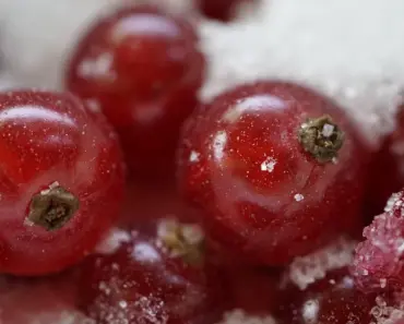 Is Any Type of Sugar Healthy