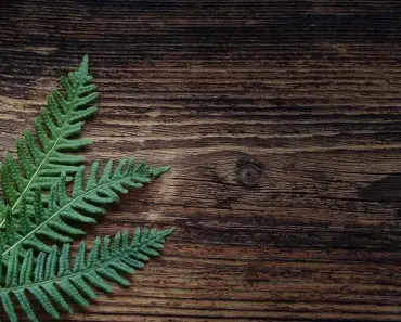 How to Strip Dark Wood