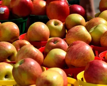 What Food to Sell at Entrepreneurs Day