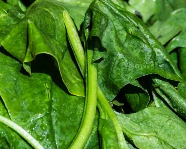 Is Spinach Healthier Raw or Cooked