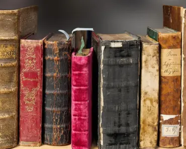 How Do You Make a Billy Bookcase Look Expensive