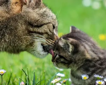 How to Empower Mothers