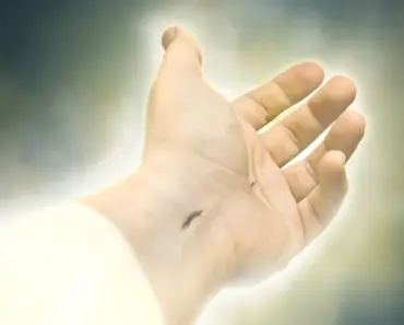 Which Religion Has the Most Miracles