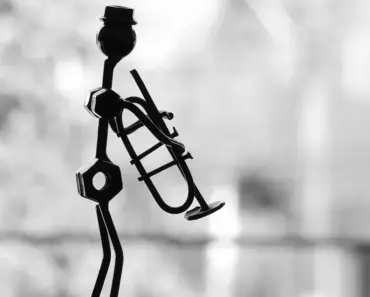 How to Wash Black Trumpets