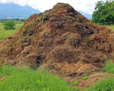 Can I Use Compost in My Yard
