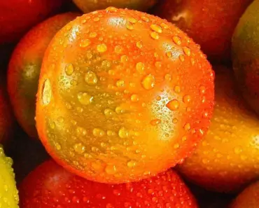 Vegetables and Fruits to Store