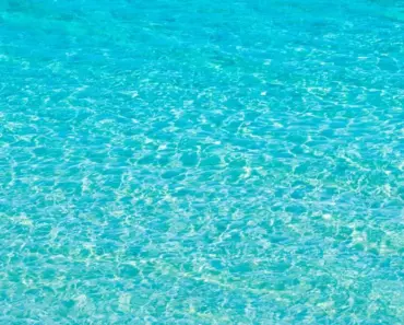 Can You Have Alcohol on Navarre Beach