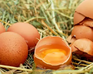 Do I Need to Rinse Eggshells Before Composting