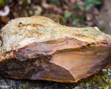 What Does a Cancerous Breast Nodule Look Like