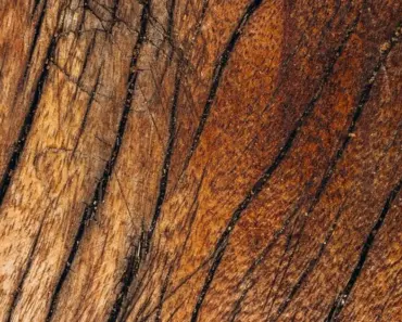 Is Palliser Furniture Solid Wood