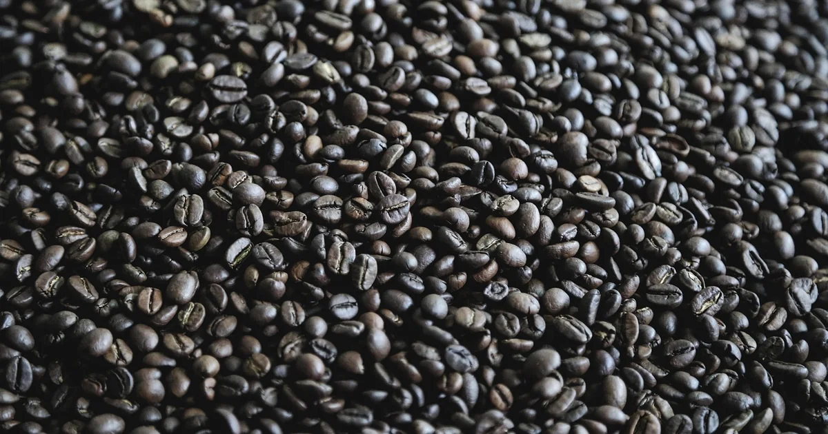 Who Should Avoid Caffeine avoid caffeine