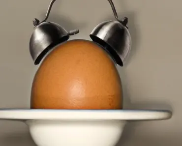 Do Eggs Wake You up Do Eggs Wake You up