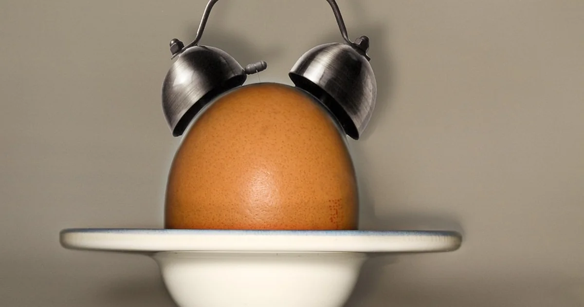 Do Eggs Wake You up eggs wake