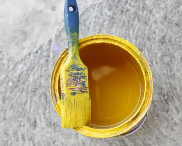 What Type of Brush Can You Use on a Car