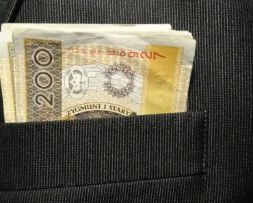 How Much to Save From Rover for Taxes How Much to Save From Rover for Taxes