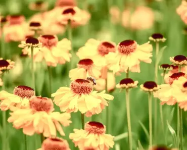 12 Whimsical Garden Accents to Turn Your Yard Into a Fairytale