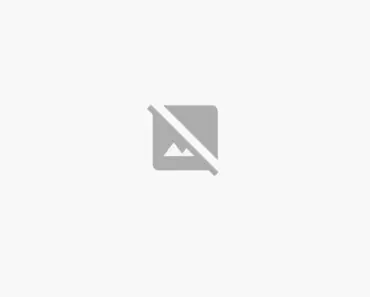 Uncategorized