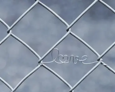 How Many People Got Locked up for Ppp