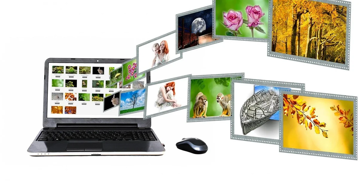 What is the Website to Search for Addresses website search addresses