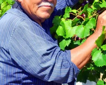 How to Drink Muscadine Wine