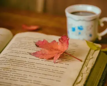 How Many Books Exist How Many Books Exist
