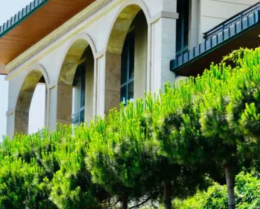 What Does the Phrase as is Mean When Used in Real Estate Contracts the Buyer is Accepting the Property Without