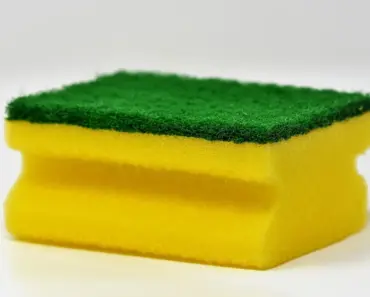 Why You Should Put a Sponge in Your Fridge