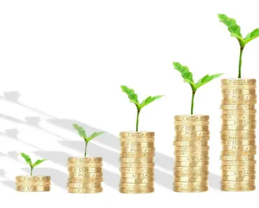 What is a 56 Loan What is a 56 Loan