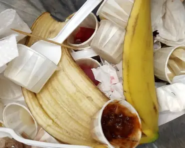 Should Compost Bins Be Airtight