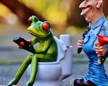 Toilet and Repair Typical Flush Issues