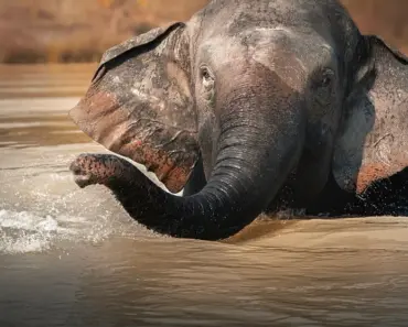 A Bath Time Moment Made One Mom Pause and She Couldnt Ignore it