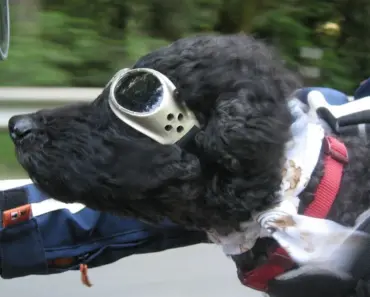 Do Motorcycle Jackets Protect You Do Motorcycle Jackets Protect You