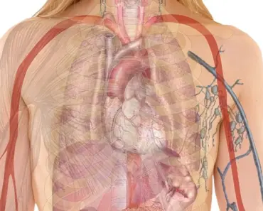 What Happens to Your Body When You Eat the Same Thing Everyday