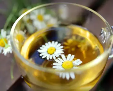 Green Tea Shot a Beautiful Mess Green Tea Shot a Beautiful Mess