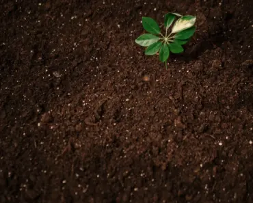 How Do You Compost Without it Smelling