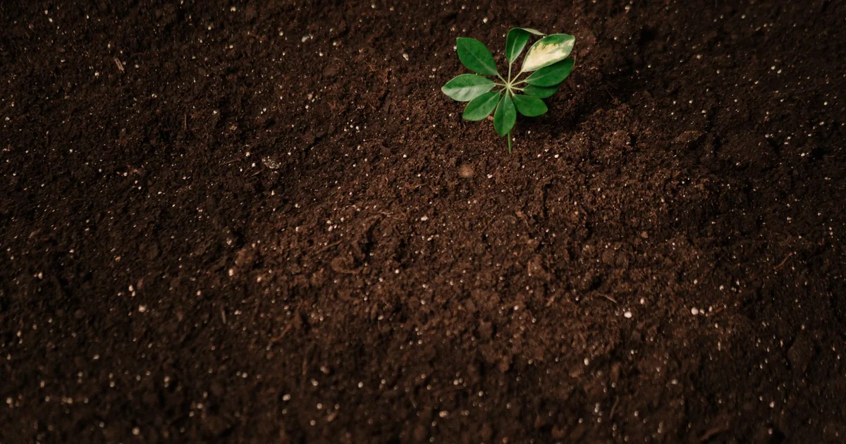 How Do You Compost Without it Smelling rich organic soil gardening