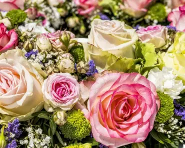 Where Do Grocery Store Flowers Come From
