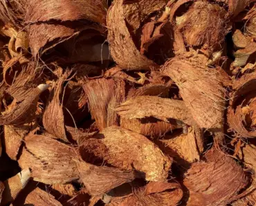 What Can I Add to Compost to Make Garden Soil
