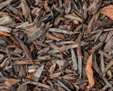 How Do You Convert Plastic to Compost