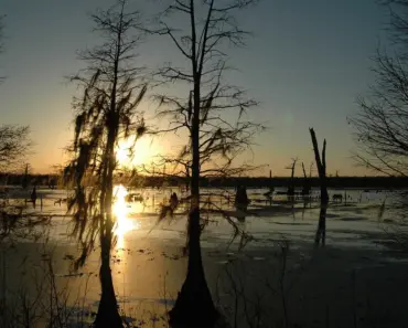 What Does Healthy Louisiana Cover