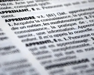 What is the Definition of Hmo and Ppo